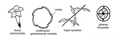 Caracteres Generales